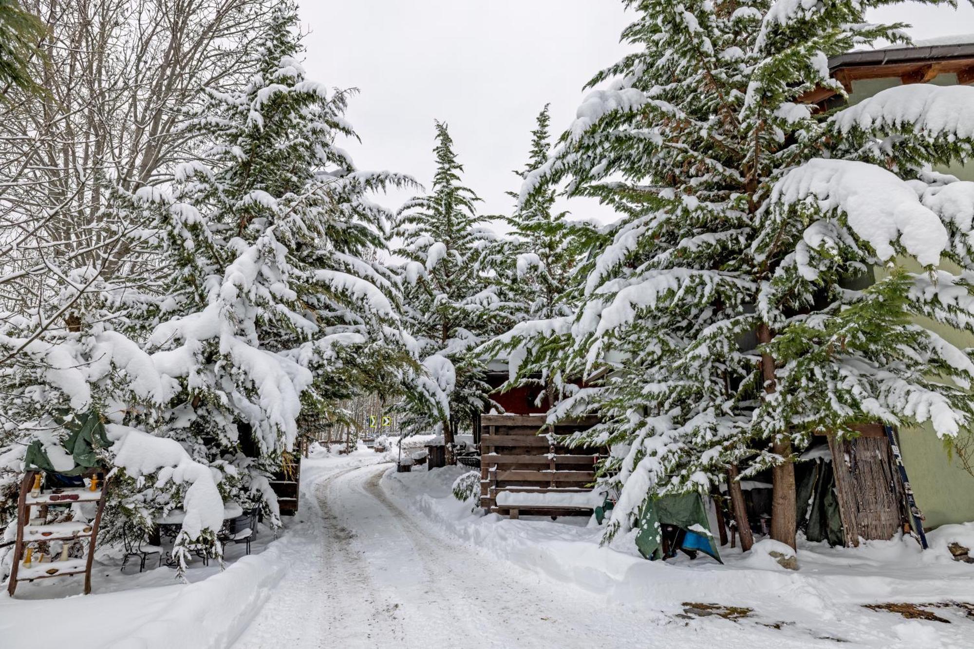 Chalet Bragard Limone Piemonte Exterior photo